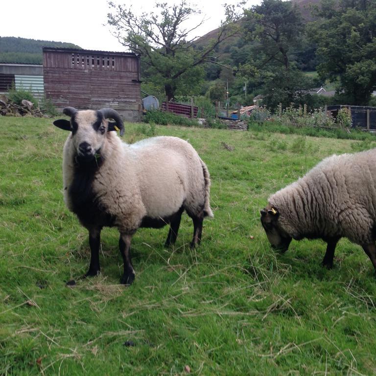 Penybryn Cottages Aberdare Bagian luar foto